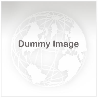 Management Consultants